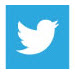 Twitter icon