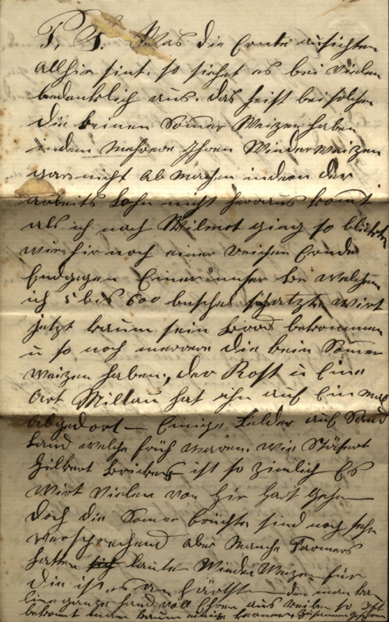 scan of page 4