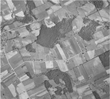 Woolwich Township Historical Air Photos : IM23
